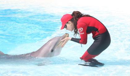 Immagine News - riccione-gessica-notaro-a-5-anni-dallaggressione-con-acido-subita--tornata-ad-addestrare-delfini