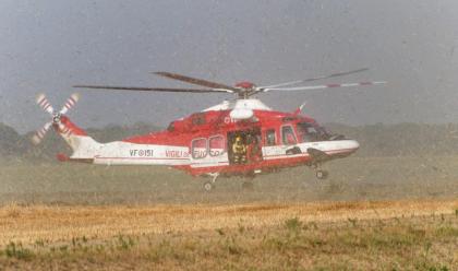 Immagine News - ravenna-domati-entrambi-gli-incendi-alla-pineta-ramazzotti-a-lido-di-dante