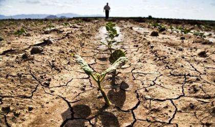 siccit-e-r-giugno-e-luglio-tra-i-pi-caldi-e-aridi-dal-dopoguerra