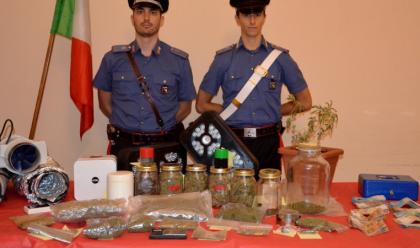 Immagine News - bagnacavallo-scovato-con-mezzo-chilo-di-marijuana