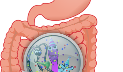 Immagine News - microbiota-intestinale-prendersene-cura-influenza-la-nostra-salute