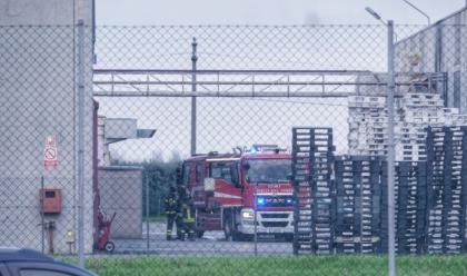 Immagine News - massa-lombarda-vigili-del-fuoco-domano-incendio-alla-nespak