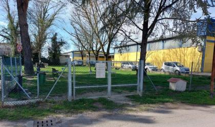 bagnacavallo-attivit-cinofile-un-bando-per-il-parco-e-larea-sgambamento-cani-di-via-tarroni