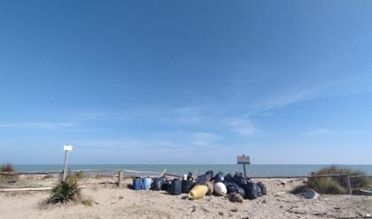 lido-di-dante-domenica-nuovo-appuntamento-per-la-pulizia-della-spiaggia-a-tutela-dellavifauna-protetta