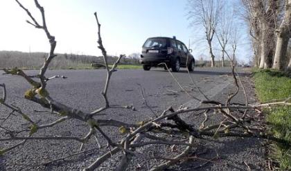 Immagine News - meteo-romagna-allerta-arancione-per-vento-su-costa-e-colline