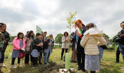 Immagine News - conselice-intervento-di-forestazione-urbana-con-mille-nuovi-piante