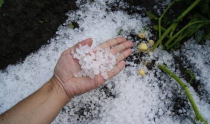 agricoltura-colpita-pioggia-e-grandine-in-provincia-di-ravenna-e-forl-cesena