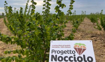 Immagine News - dal-3-al-5-maggio-macfrut-a-rimini-la-tavola-rotonda-di-terremerse-su-crediti-di-carbonio-e-nocciolo-opportunit-di-cambiare