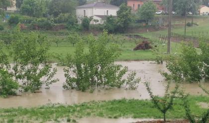 Immagine News - maltempo-cresce-il-rischio-di-esondazione-dei-torrenti-senio-e-marzeno-tante-le-frane-nella-collina-faentina