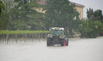 Immagine News - maltempo-il-4-maggio-allerta-rossa-in-quattro-zone-dellemilia-romagna