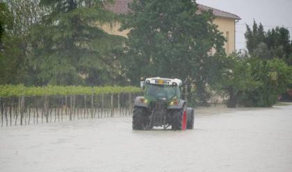 Immagine News - maltempo-nel-ravennate-le-banche-locali-subito-in-campo-per-sostenere-famiglie-e-imprese