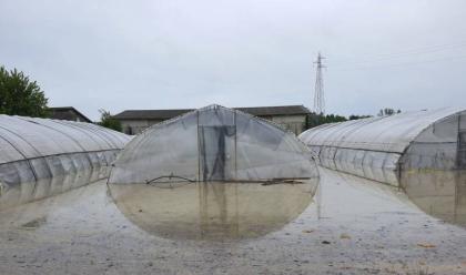 Immagine News - maltempo-legacoop-romagna-danneggiate-cab-massari-deco-e-terremerse-ristori-urgenti-per-le-aziende-agricole