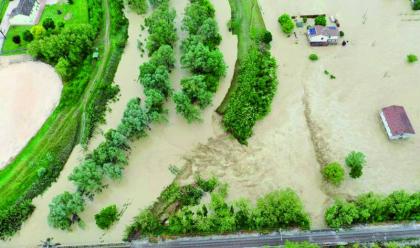 Immagine News - maltempo-lallarme-di-coldiretti-danni-molto-ingenti-lacqua-rimasta-nei-frutteti-soffoca-le-piante