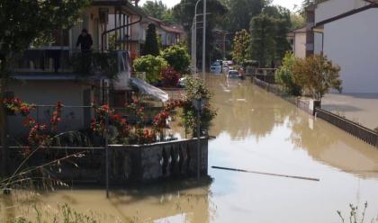 Immagine News - maltempo-bagnacavallo-cercasi-volontari-per-aiutare-nel-lavoro-di-pulizia-post-alluvione