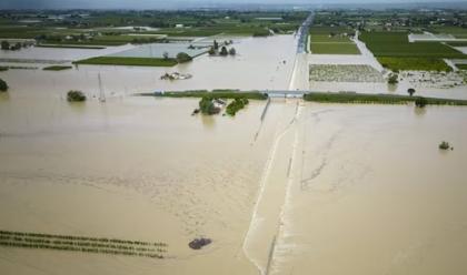 Immagine News - alluvione-in-romagna-i-numeri-di-coldiretti-5mila-aziende-agricole-allagate-e-danneggiate