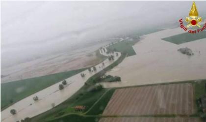 Immagine News - alluvione-faenza-600-maiali-travolti-ed-uccisi-dalla-furia-dellacqua