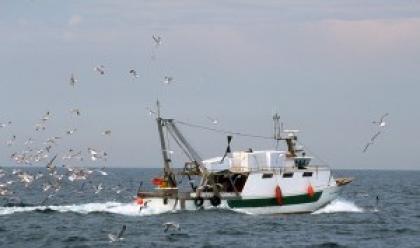 pesca-prorogato-al-12-giugno-il-termine-per-chiedere-indennizzi-per-il-caro-gasolio-per-i-pescherecci