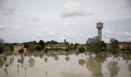 Immagine News - alluvione-la-raccolta-fondi-della-regione-ha-superato-i-40-milioni-di-euro