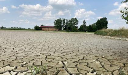 Immagine News - alluvione-coldiretti-un-mese-dopo-agricoltura-in-ginocchio-fango-su-oltre-100mila-ettari