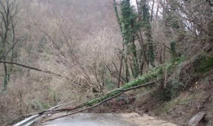 Immagine News - alluvione-sabato-17-riapre-la-strada-provinciale-302-brisighellese