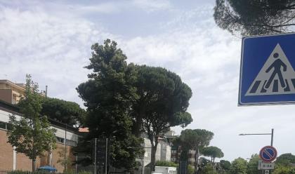 Immagine News - cervia-quasi-ultimati-i-lavori-stradali-in-viale-dei-mille