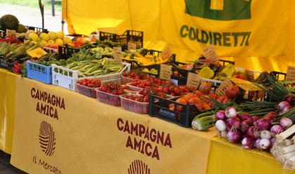 Immagine News - agricoltura-al-concerto-del-campovolo-in-vendita-i-prodotti-di-coldiretti-colpiti-dallalluvione