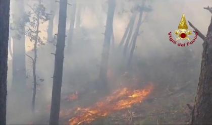 Immagine News - brisighella-vasto-incendio-in-zona-impervia-vigili-del-fuoco-al-lavoro