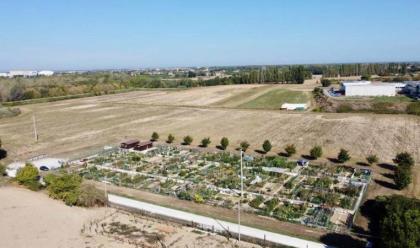 Immagine News - cesena-un-nuovo-bosco-urbano-nellarea-verde-di-santanna