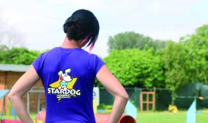 Immagine News - al-centro-cinofilo-stardog-village-di-russi-c-anche-lasilo-diurno