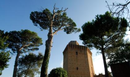 Immagine News - faenza-fervono-i-preparativi-alla-torre-di-oriolo-per-una-notte-di-sapori-da-brividi-con-hallowine-party