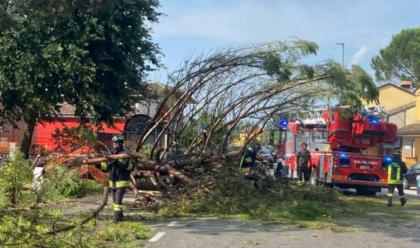 tornado-di-luglio-comune-di-ravenna-le-domande-dei-ristori-entro-il-15-dicembre