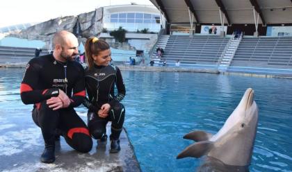 Immagine News - riccione-al-parco-oltremare-in-festa-per-i-15-anni-della-delfina-mia-la-pi-giovane