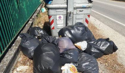 Immagine News - cesena-abbandono-rifiuti-nel-2023-oltre-200-verbali-della-polizia-locale