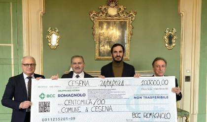 Immagine News - cesena-bcc-romagnolo-dona-100mila-euro-per-il-recupero-del-carisport