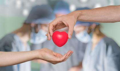 Immagine News - ausl-romagna-donazione-organi-in-crescita-nel-2023-ben-116-trapianti-soprattutto-fegato-e-cuore