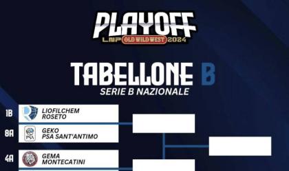 Immagine News - basket-b-nazionale-il-programma-dei-playoff-i-blacks-faenza-debuttano-sabato-4-maggio-a-livorno