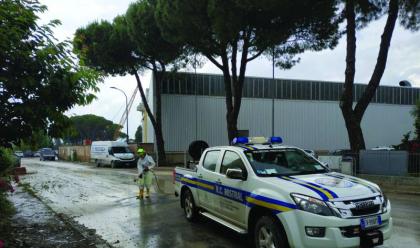 Immagine News - ravenna-flavia-sansoni-mistral-100-volontari-in-campo-un-lavoro-che-dura-da-30-anni