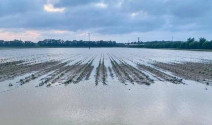 grandinate-e-bombe-dacqua-nel-ravennate-le-cooperative-agricole-ancora-una-volta-danneggiate