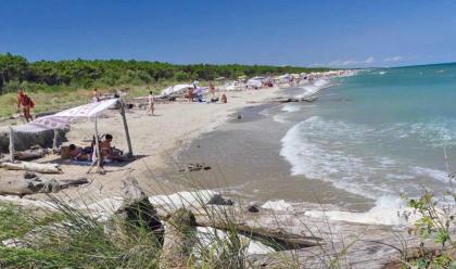 Immagine News - lido-di-dante-nel-ravennate-riapre-sabato-25-maggio-la-spiaggia-dedicata-al-turismo-naturista