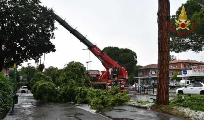 nubifragi-e-grandinate-in-romagna-da-imola-fino-a-cesena-oltre-50-interventi-dei-vigili-del-fuoco