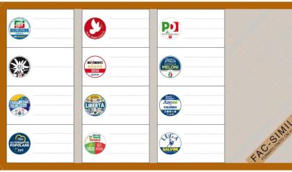 elezioni-europee-meloni-tajani-calenda-i-big-capolista-ma-solo-bonaccini-se-eletto-andr-in-europa-ecco-tutti-i-candidati-del-nord-est