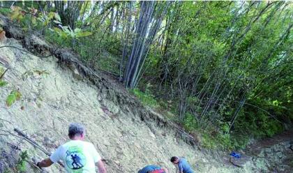 Immagine News - ambiente-il-cai-di-faenza-ripristina-i-sentieri-nei-tratti-danneggiati-dal-maltempo