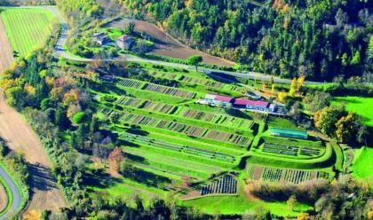 Immagine News - casola-valsenio-da-domenica-23-giugno-sono-tante-le-iniziative-al-giardino-delle-erbe