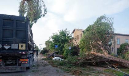 Immagine News - ravenna-c-tempo-fino-al-1-luglio-per-lesenzione-tari-per-il-fortunale-di-luglio-2023