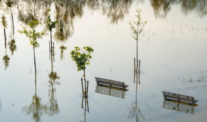 Immagine News - russi-il-segno-dellacqua-a-palazzo-san-giacomo