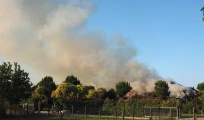 Immagine News - lido-di-classe-pompieri-al-lavoro-per-domare-un-incendio