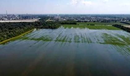 Immagine News - ravenna-arrivano-le-ammissioni-a-contributo-per-i-rimborsi-post-alluvione-per-il-mondo-agricolo