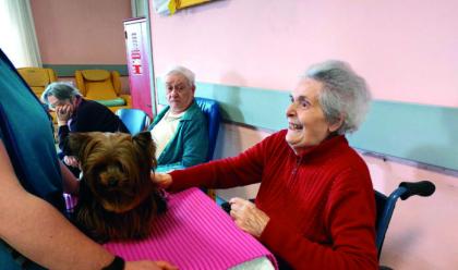 Immagine News - pet-therapy-nelle-strutture-per-anziani.-parla-maria-teresa-ghinassi-responsabile-dellass.ne-cinoservizio