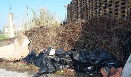 Immagine News - cesena-abbandono-scorretto-dei-rifiuti-dal-2019-al-2023-ben-735-verbali-elevati